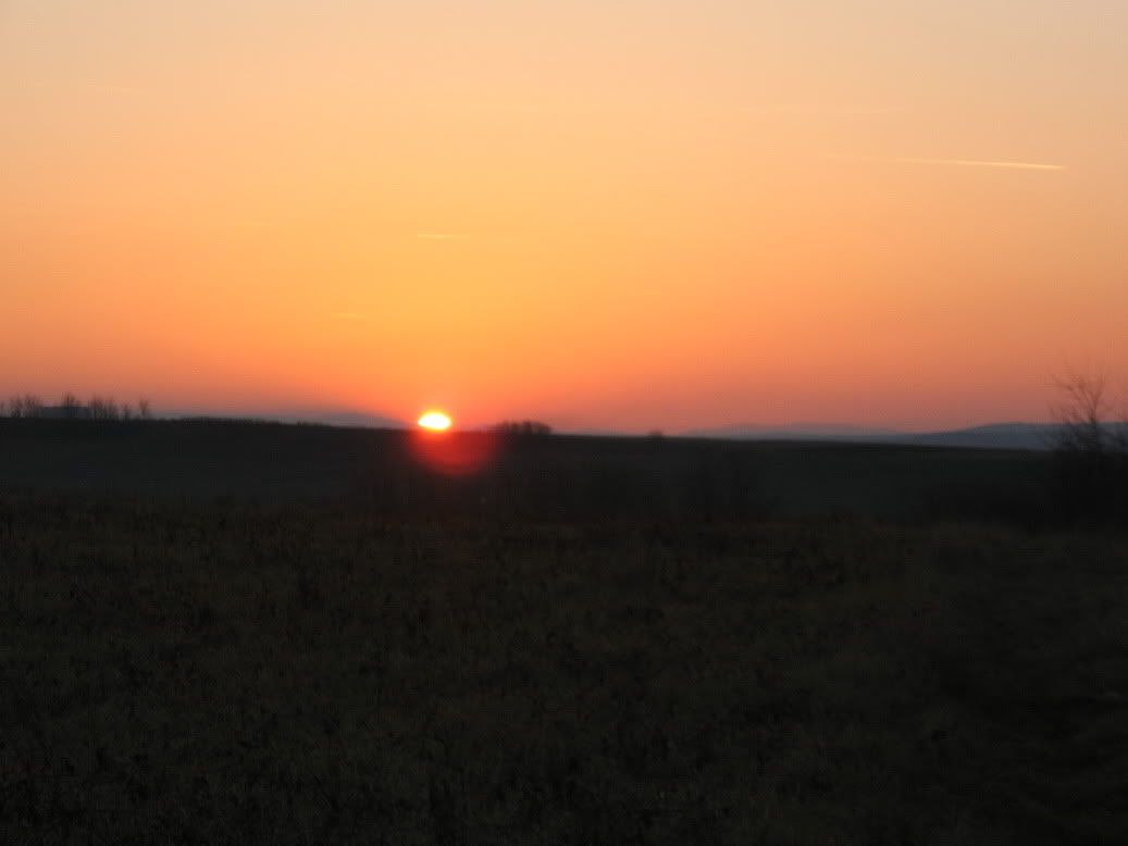 IMG_5830.jpg