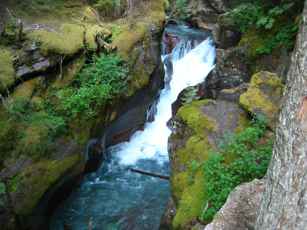 9556996858_aa1083e7d7_b.jpg