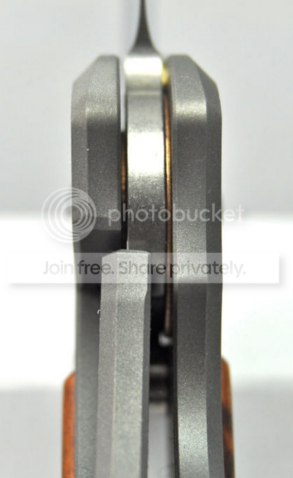 snakewoodsebenza03.png