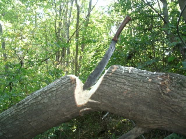 use07.jpg