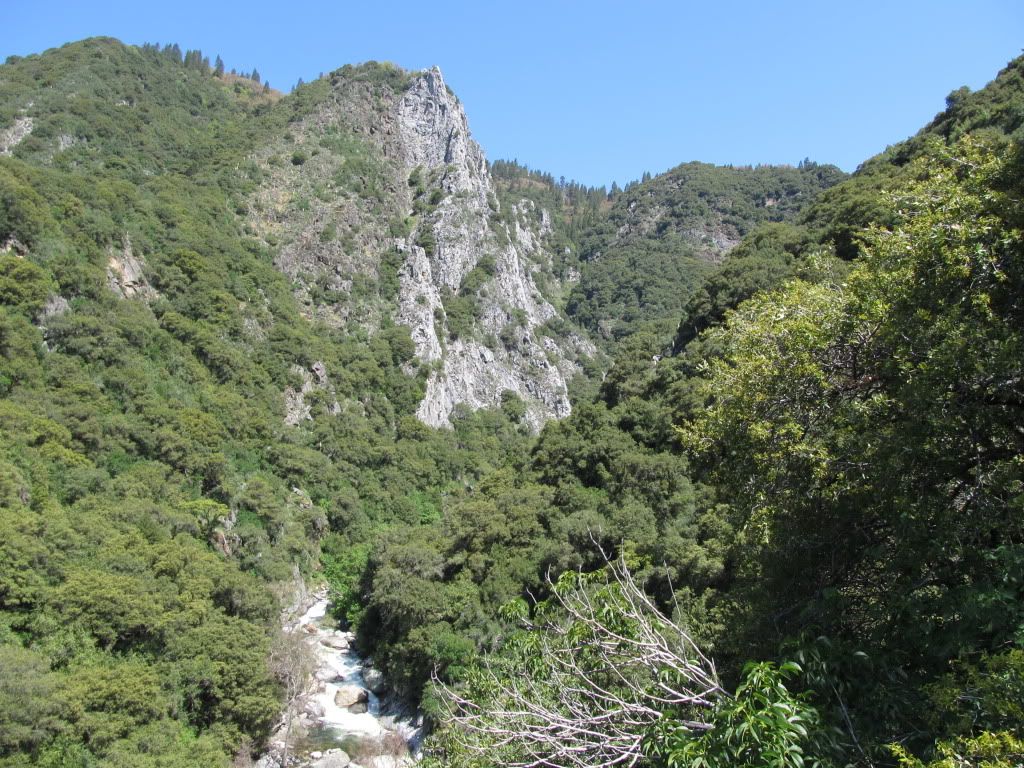 IMG_0052.jpg