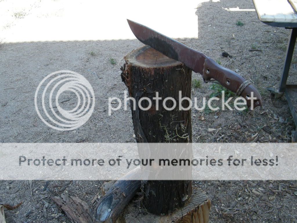 DSCF2830.jpg