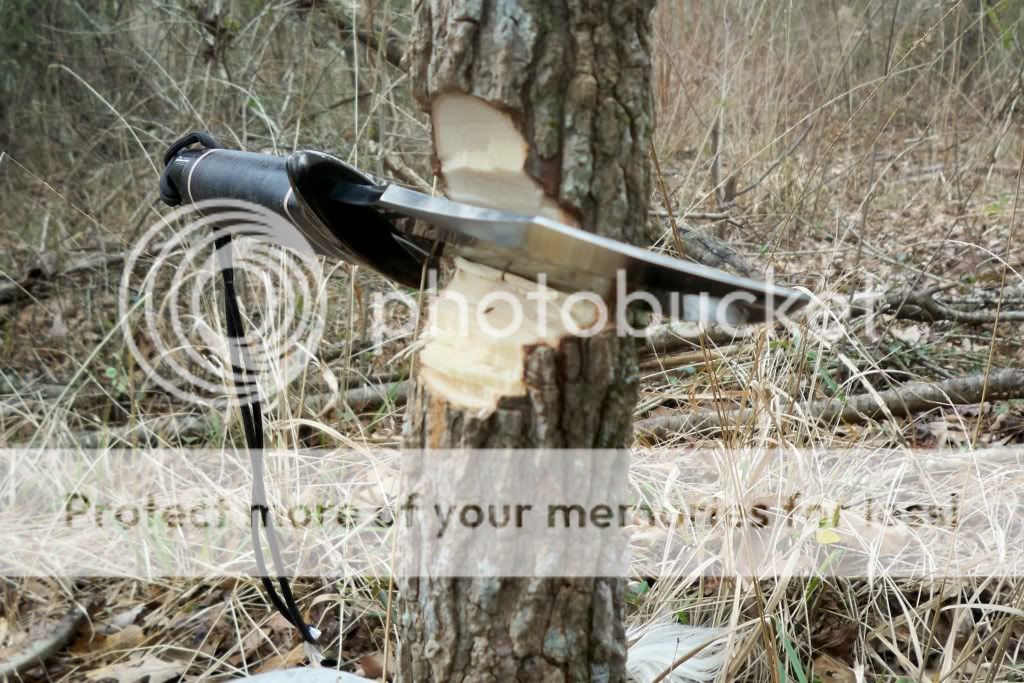 sog3.jpg