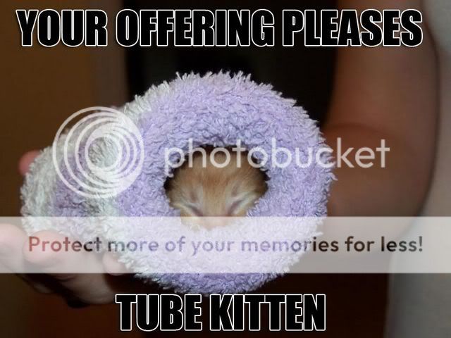 tubekitten.jpg