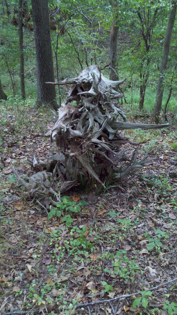 760824122_photobucket_53151_.jpg