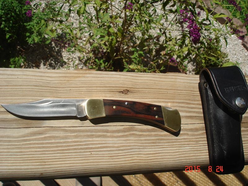 DSC02512_zpskvhsoer6.jpg