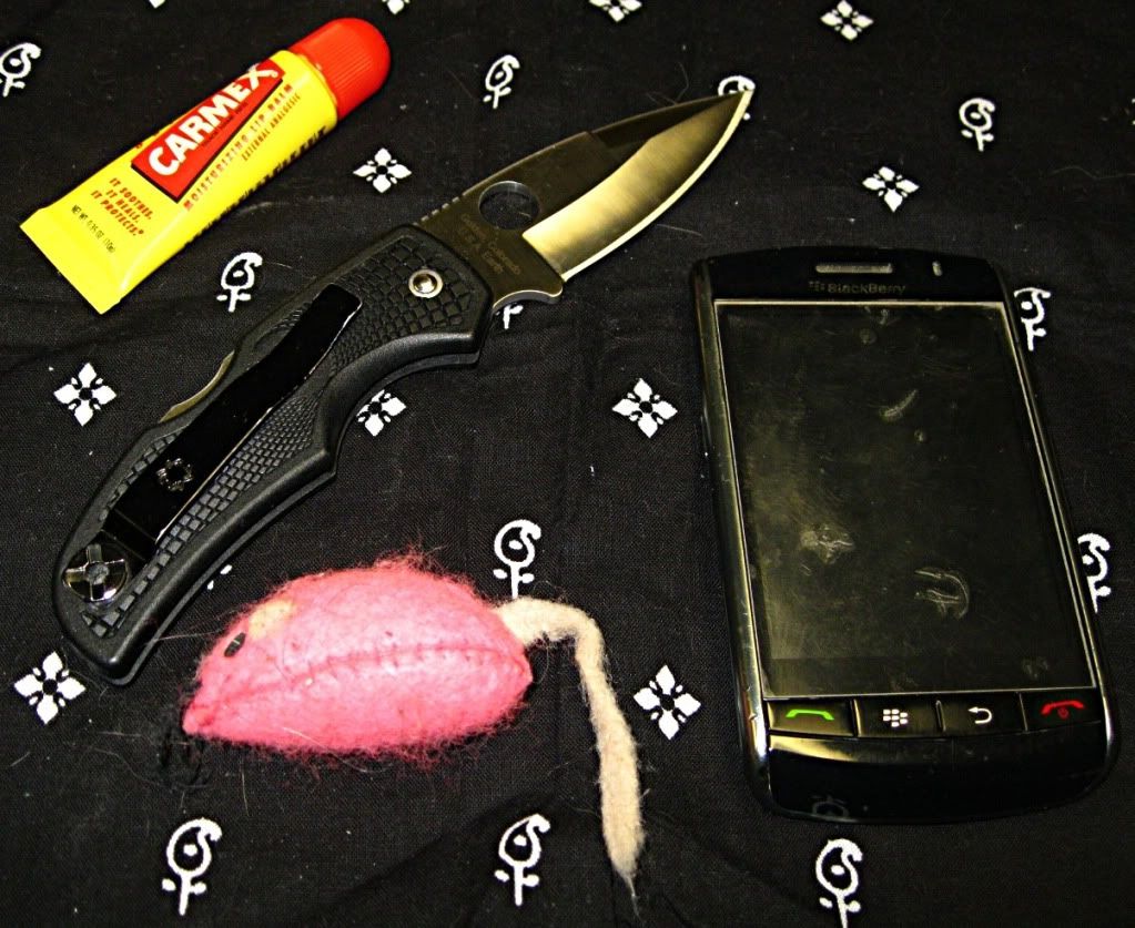 20120128_IMG_1457.jpg