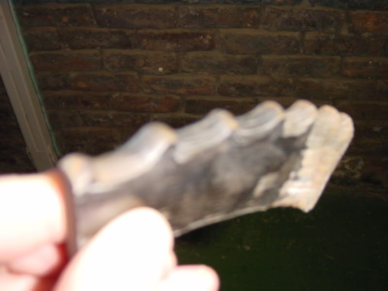DSC00690.jpg