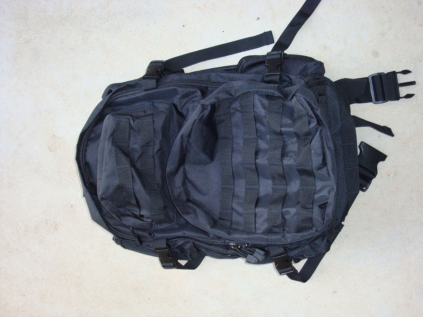 DSC01389.jpg