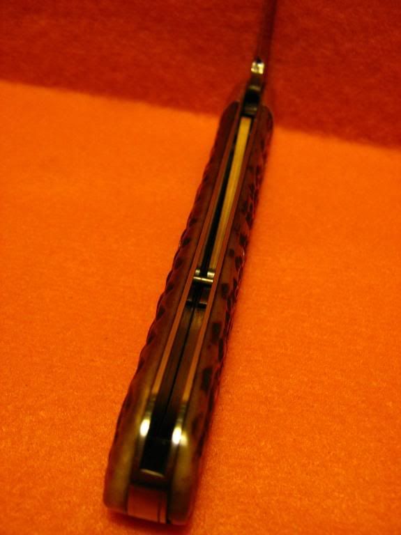 pb013.jpg