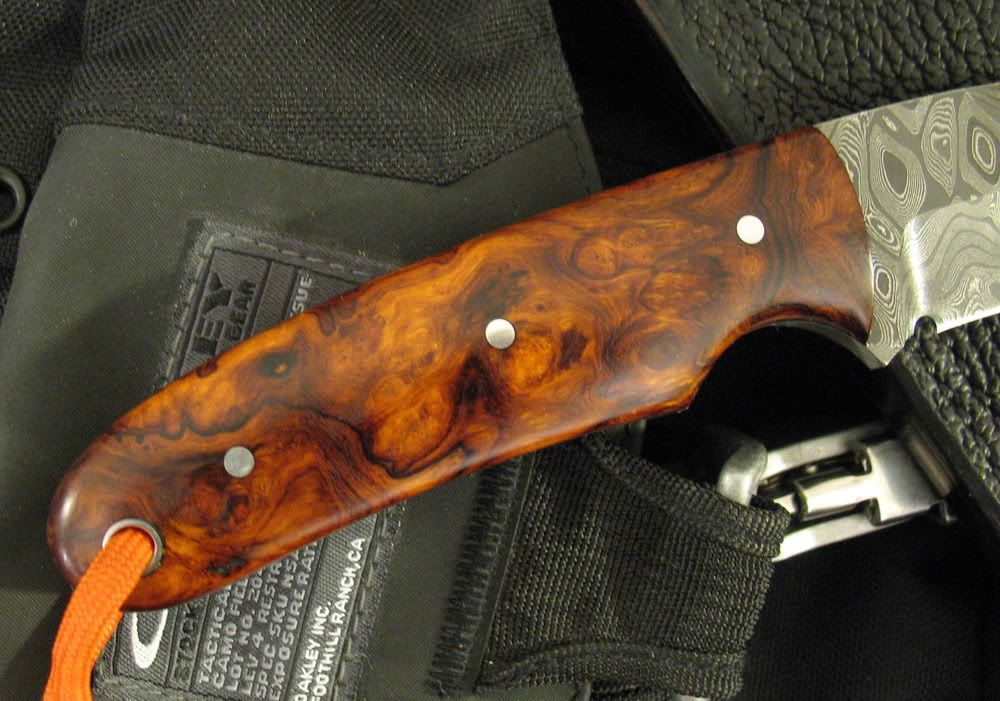 ironwood_hunter-1c.jpg