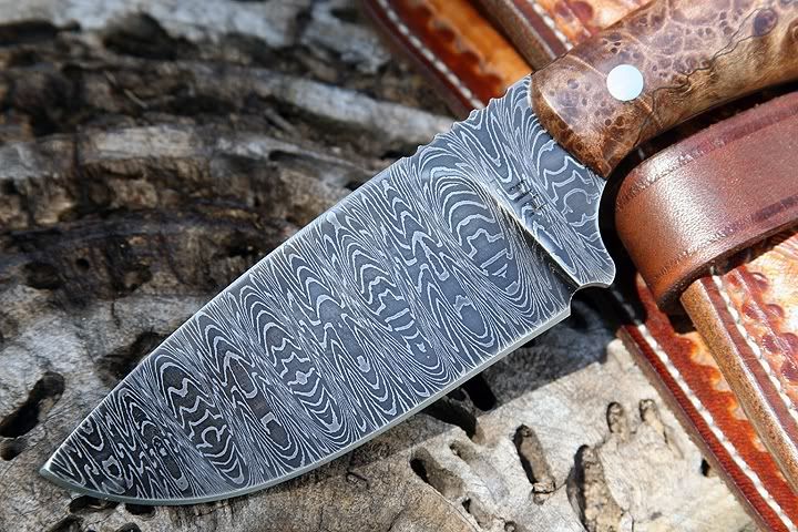 Shockwavedamascus008.jpg