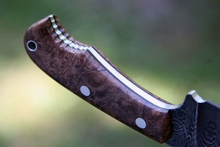 Shockwavedamascus087.jpg