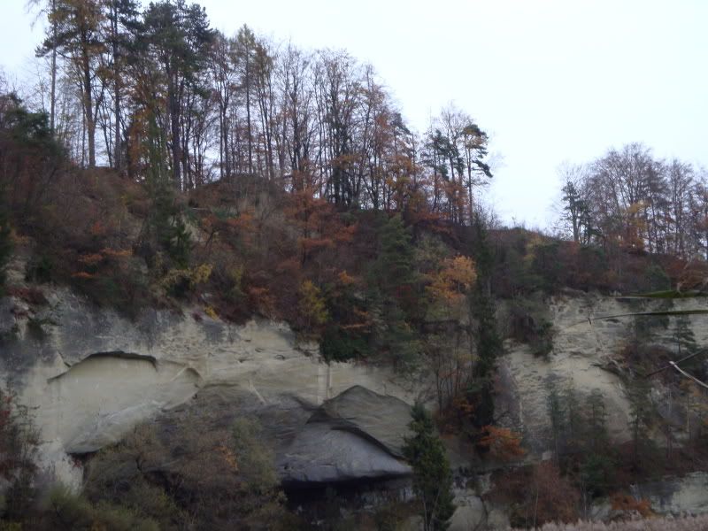DSC01007.jpg