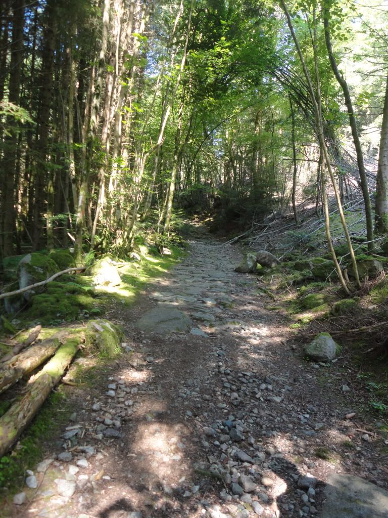 DSC01852.jpg