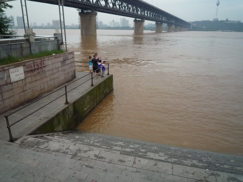 P1070768.jpg