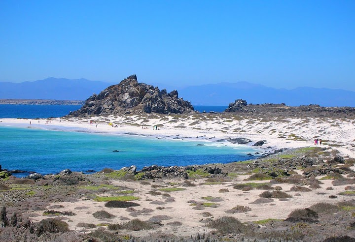 ChileanCoast.JPG