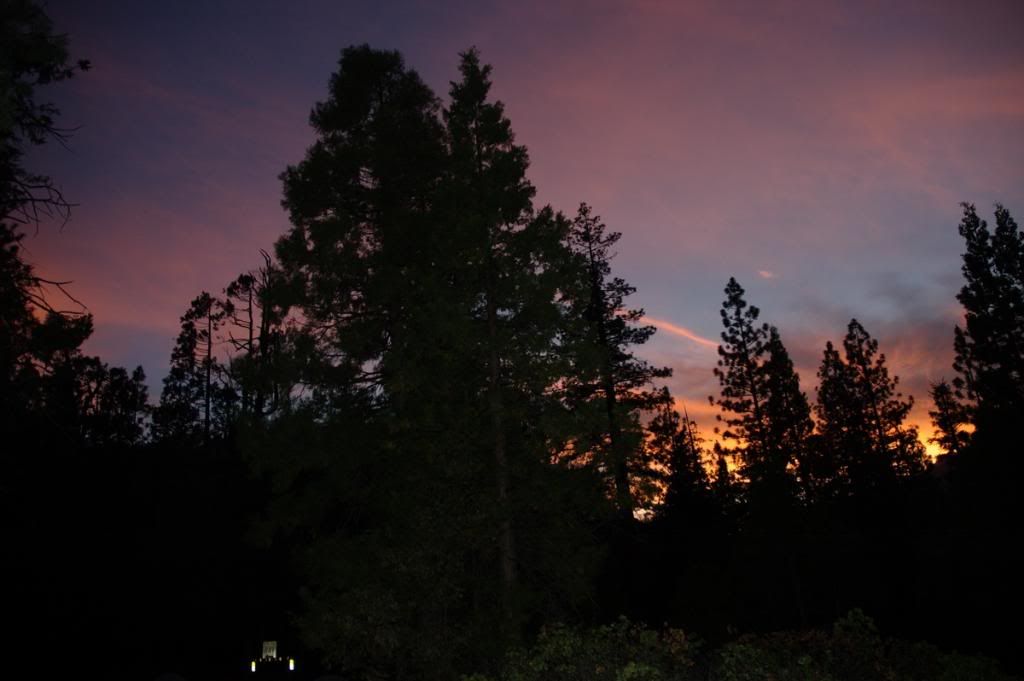 DSC_6061.jpg