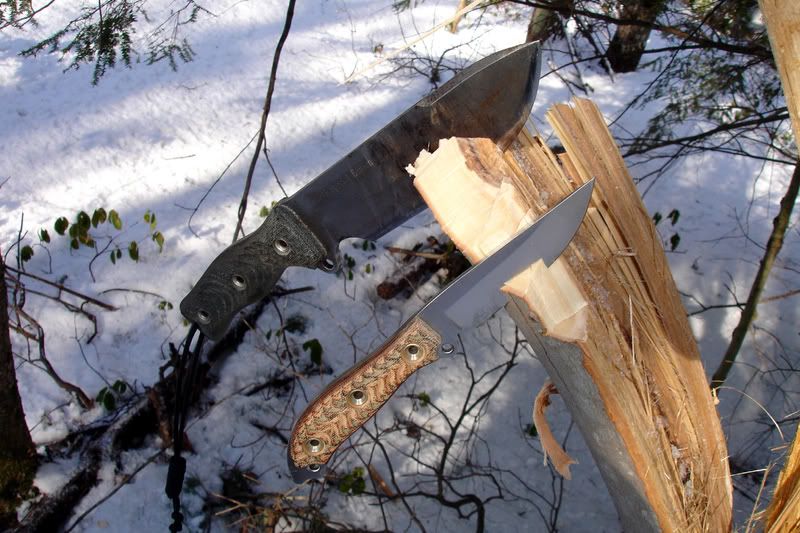 12HikeFeb2009.jpg