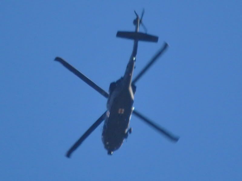 DSC_0138.jpg