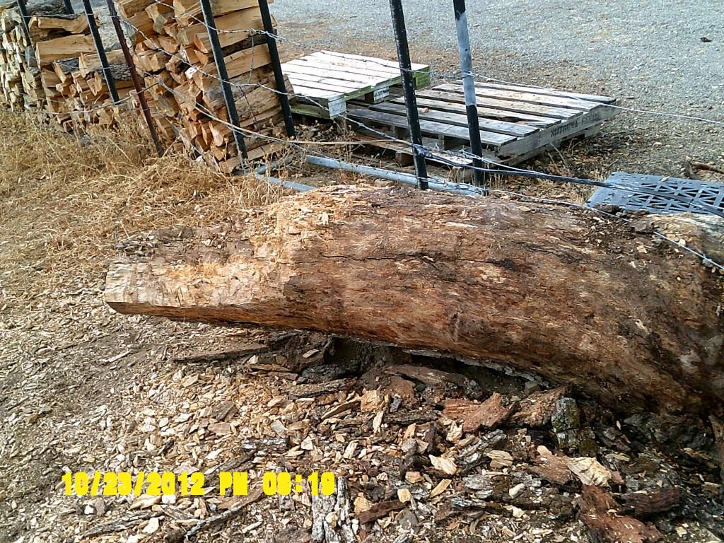DSCF0008.jpg