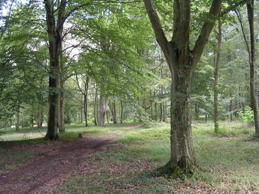france06015.jpg