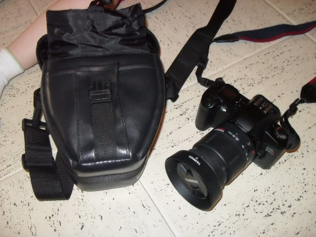 SDC12405.jpg
