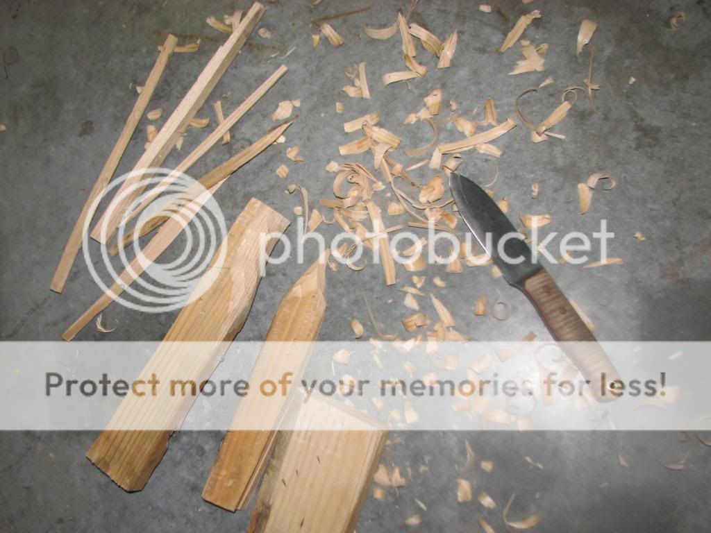 IMG_3894_zpse4d10daf.jpg