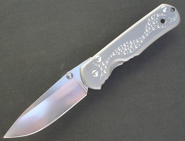 Roos_Sebenza_front_open.jpg