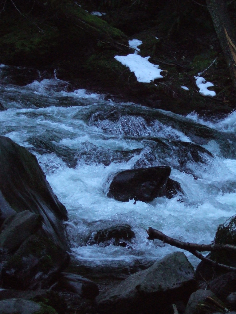 2313978590_2850ef7cc8_b.jpg