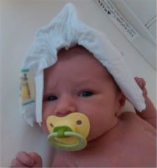 IMG00036-20100811-1831-1.jpg
