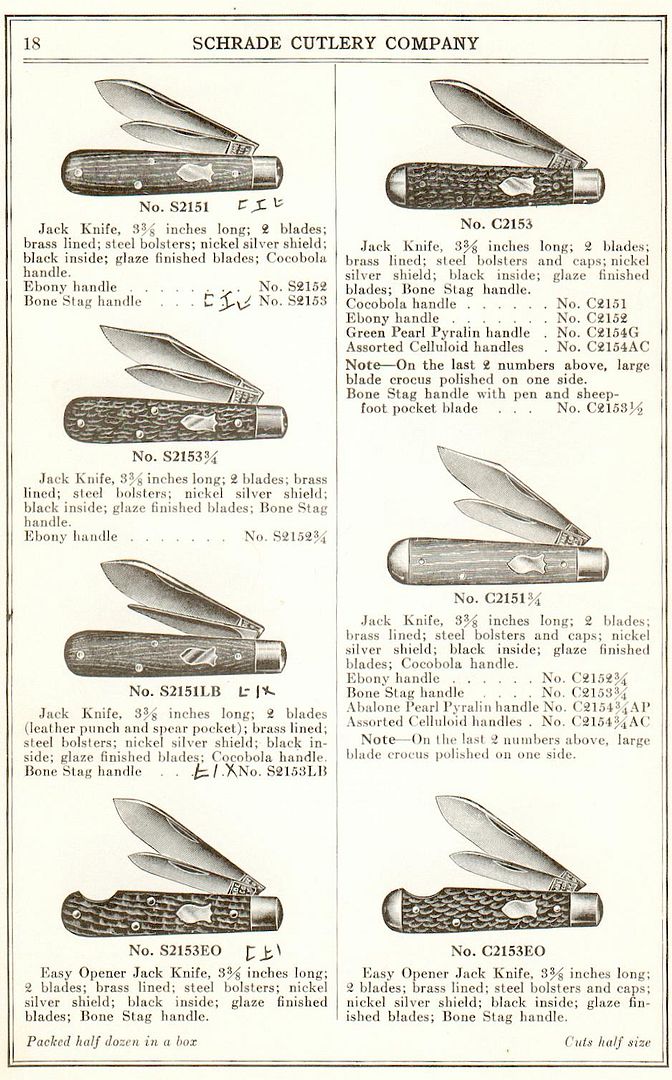 15patternSchradecatpage3.jpg