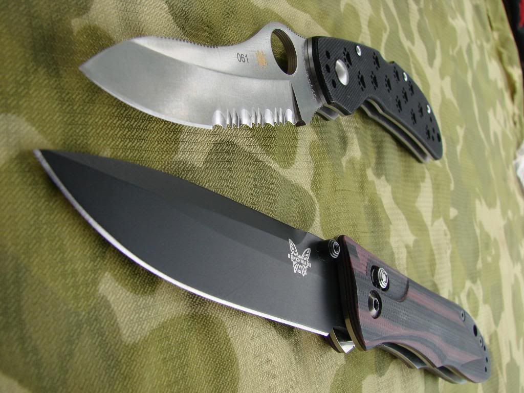 BM730andSpydercoOcelot004.jpg