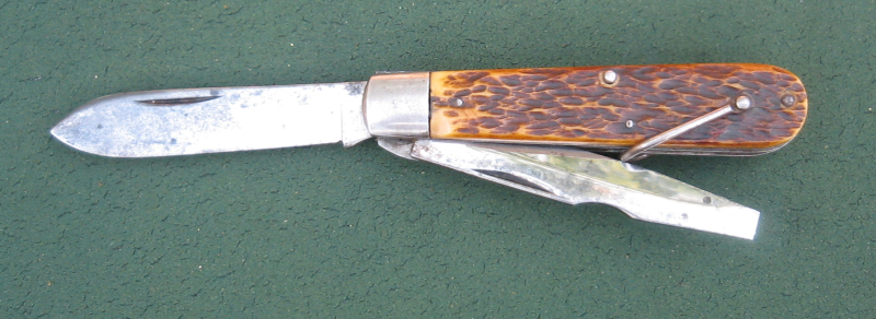 CamBoneTL-29_1.JPG