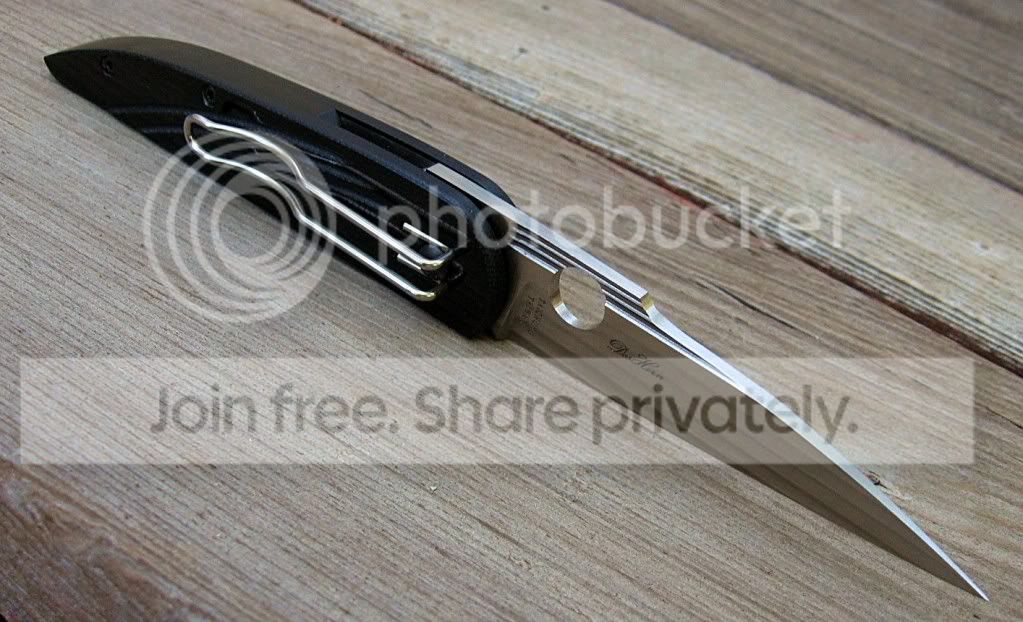 SpydercoDesHorn09.jpg
