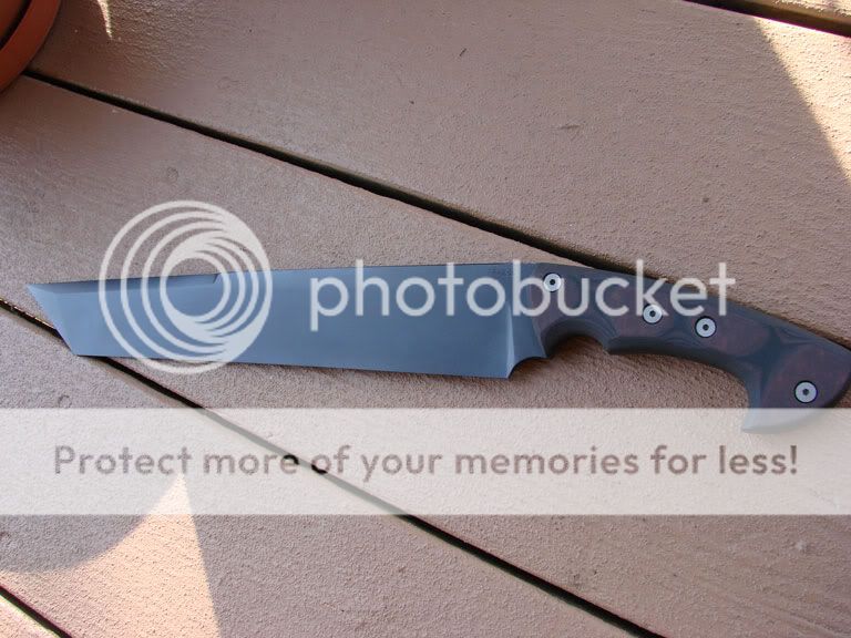 DSC06386.jpg