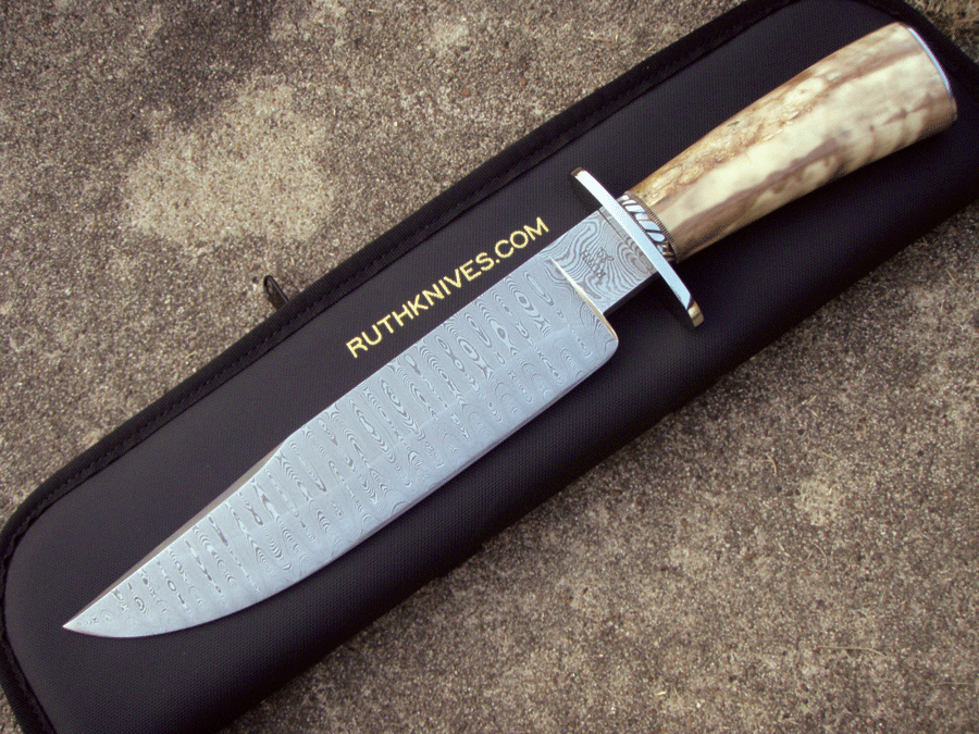 Walrus-Ivory-Bowie.gif