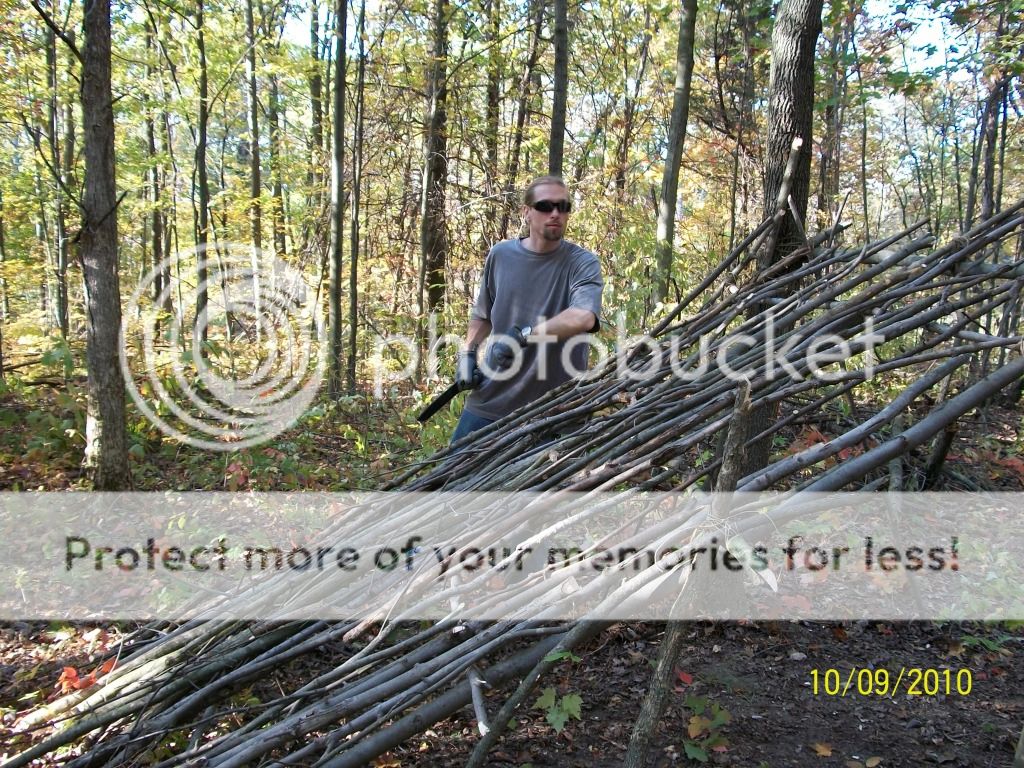 Survival1119.jpg~original