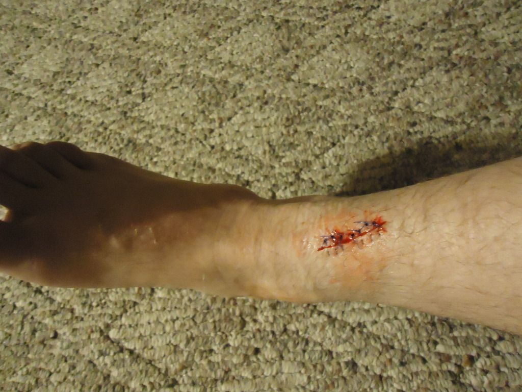 DSC01558_zpsvvosngxv.jpg