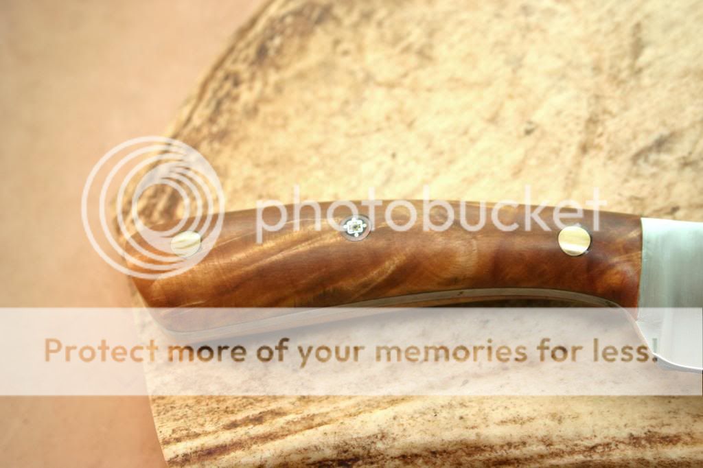 IMG_4308_1_zps4abc7d77.jpg