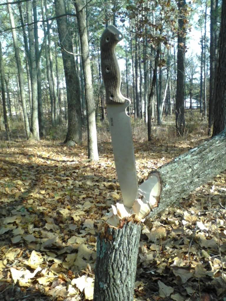 p_00064.jpg