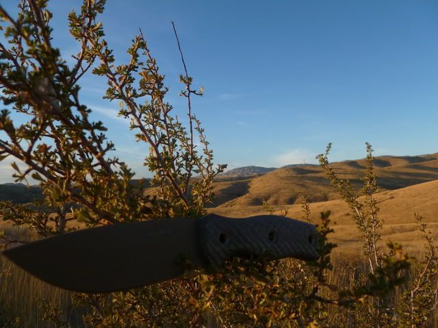 P1010231.jpg
