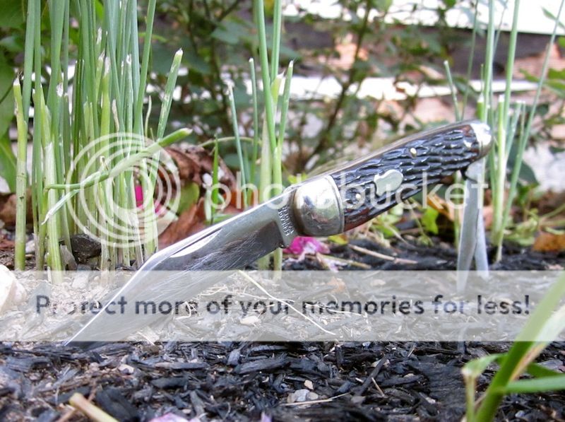 IMG_2380-1.jpg~original