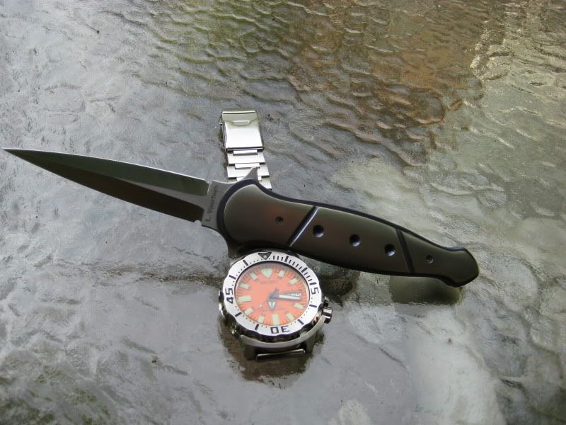 VDpflipper002.jpg