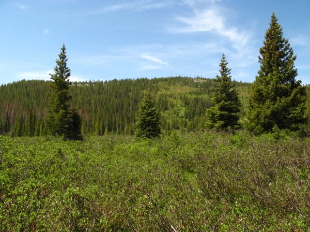 IMG_5681.jpg
