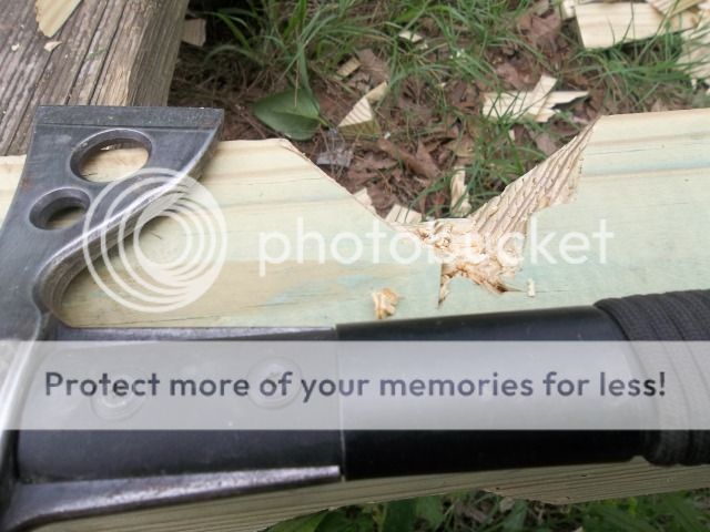 100_2839.jpg
