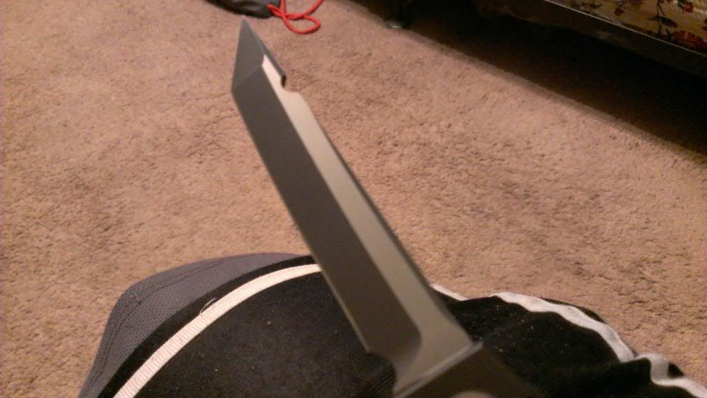 IMAG0428_BURST002_zps66402bce.jpg