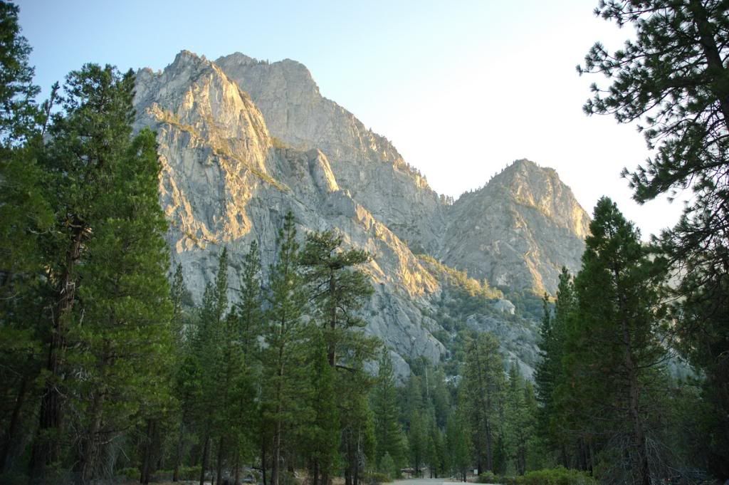 DSC_6523.jpg
