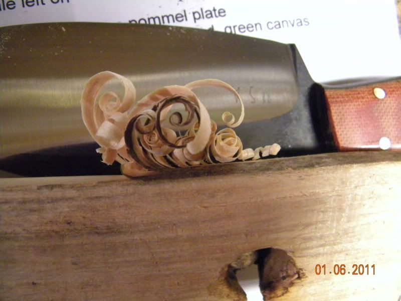 DSCN3269.jpg