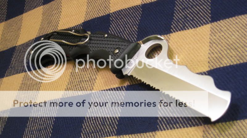 IMG_1362.jpg